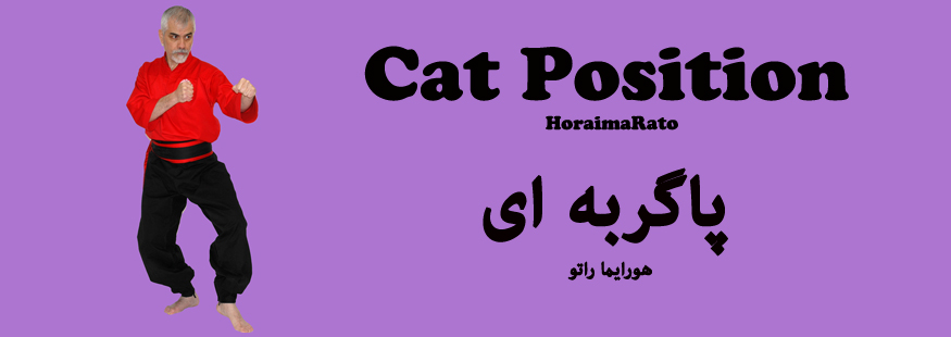 CAT POSITION   هورایما راتو – پاگربه ای