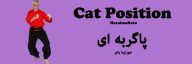 Cat Position